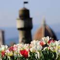 Veduta di Firenze. ph Mauro Sani